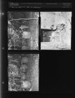 Still at Grimesland (3 Negatives) September - December 1955, undated [Sleeve 13, Folder b, Box 8]